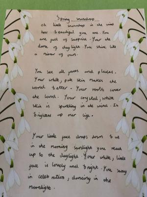Pictures and Poems for Snowdrop Sunday 2020